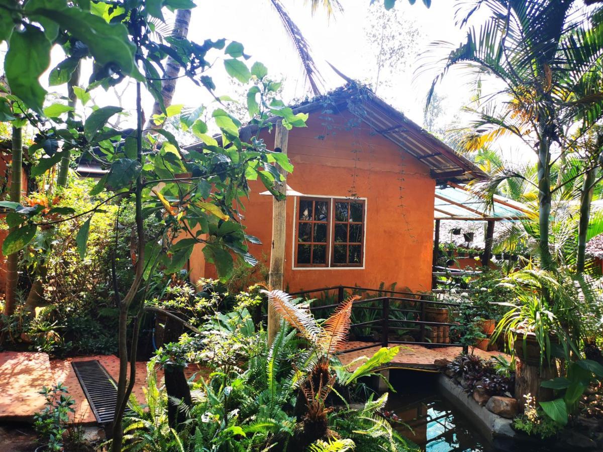 Ban Huai Makhuea Som บ้านดินโฮมสเตย์ ปางอุ๋ง מראה חיצוני תמונה