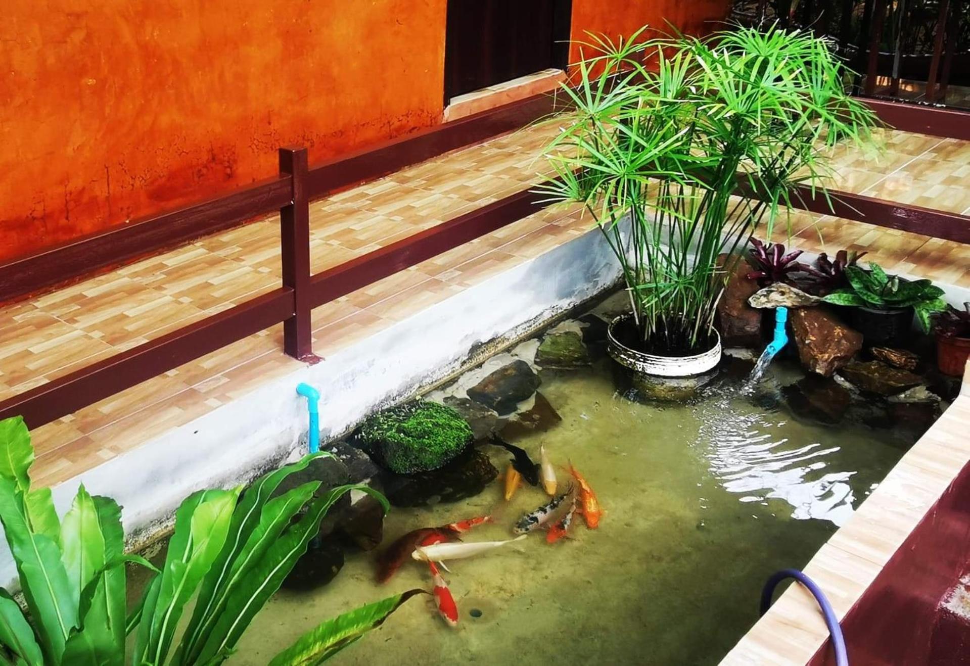 Ban Huai Makhuea Som บ้านดินโฮมสเตย์ ปางอุ๋ง מראה חיצוני תמונה