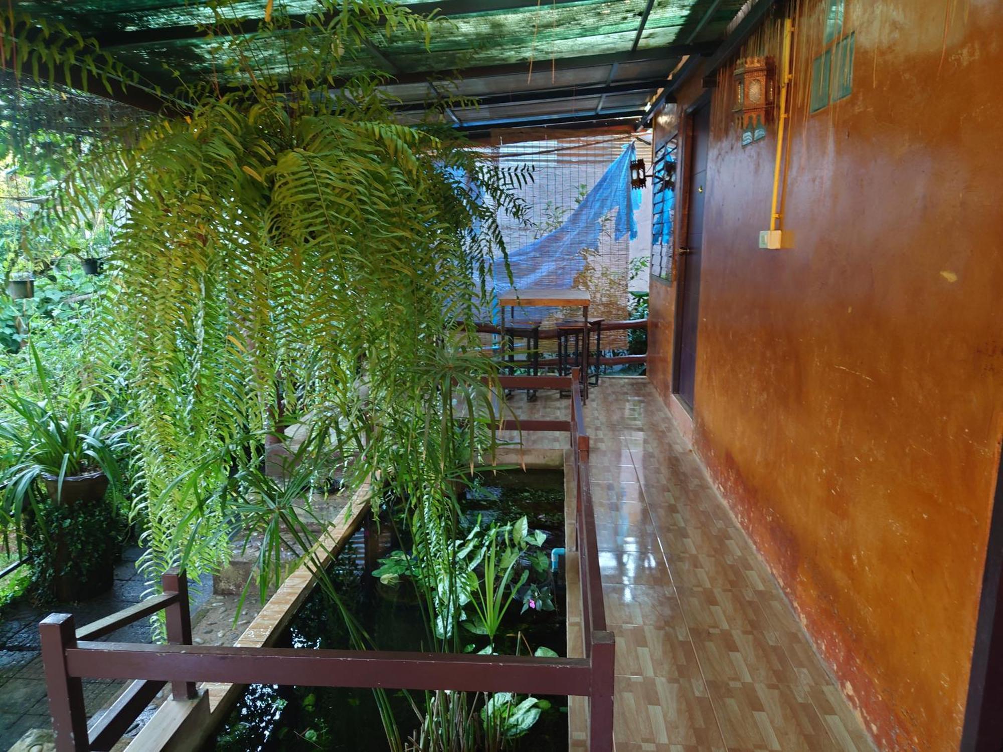 Ban Huai Makhuea Som บ้านดินโฮมสเตย์ ปางอุ๋ง מראה חיצוני תמונה